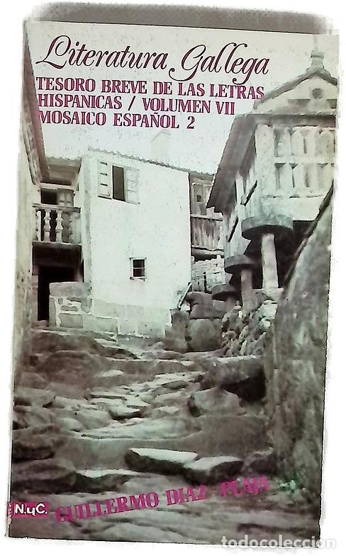 Libros: Tesoro breve de las letras hispanicas