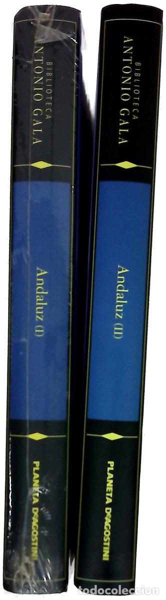 Livres: Andaluz I y II - Gala, Antonio; D&iacute;az Casta&ntilde;&oacute;n, Carmen