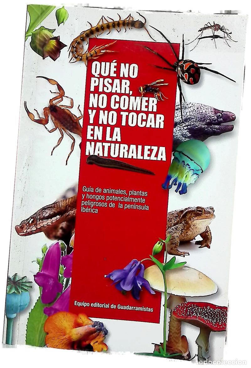 Libri di seconda mano: Qu&eacute; no pisar, no comer y no tocar en la naturaleza : gu&iacute;a de animales, plantas y hongos potencial...