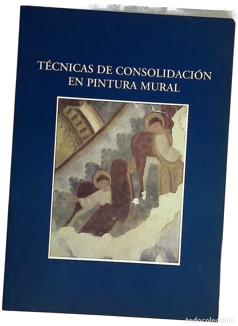 Livres: T&eacute;cnicas de consolidaci&oacute;n en pintura mural actas del Seminario Internacional sobre Consolidaci&oacute;n ...