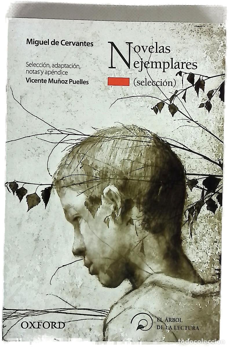 Libros: Novelas ejemplares (selecci&oacute;n)