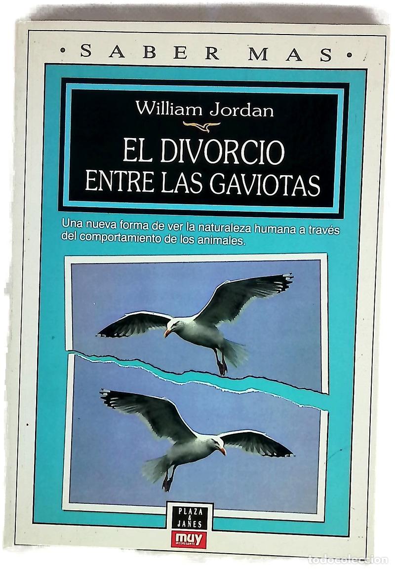 Libri di seconda mano: El divorcio entre las gaviotas