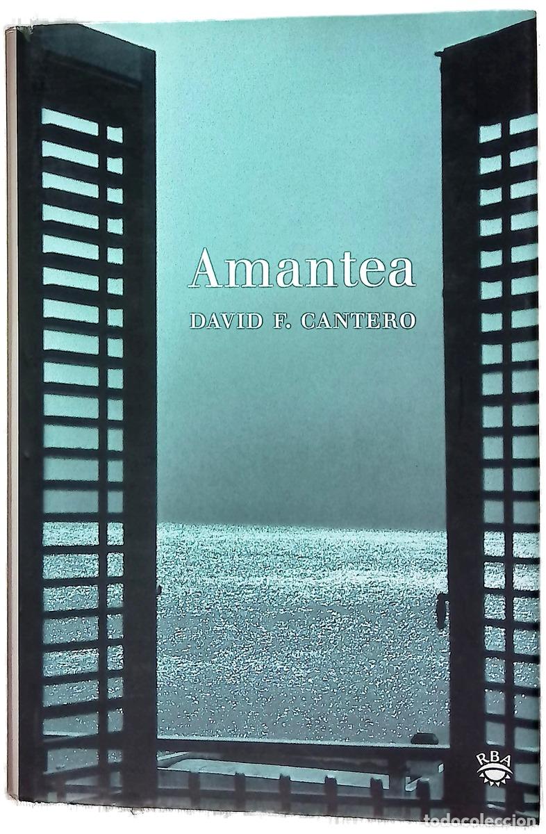 books: Amantea - Cantero, David