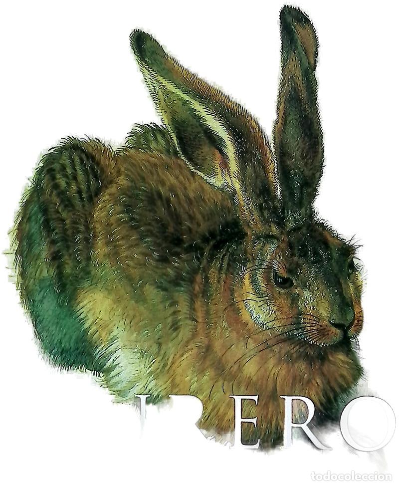 books: Alberto Durero : acuarelas y dibujos - 1