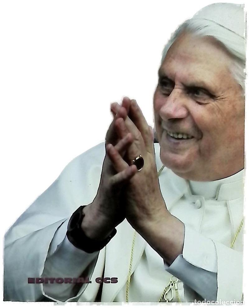 books: El alma de Benedicto XVI pensamientos y reflexiones de un humilde trabajador de la Vi&ntilde;a del Se&ntilde;or