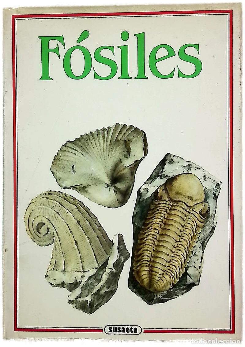 Libri di seconda mano: Fosiles - Rudolf Prukop