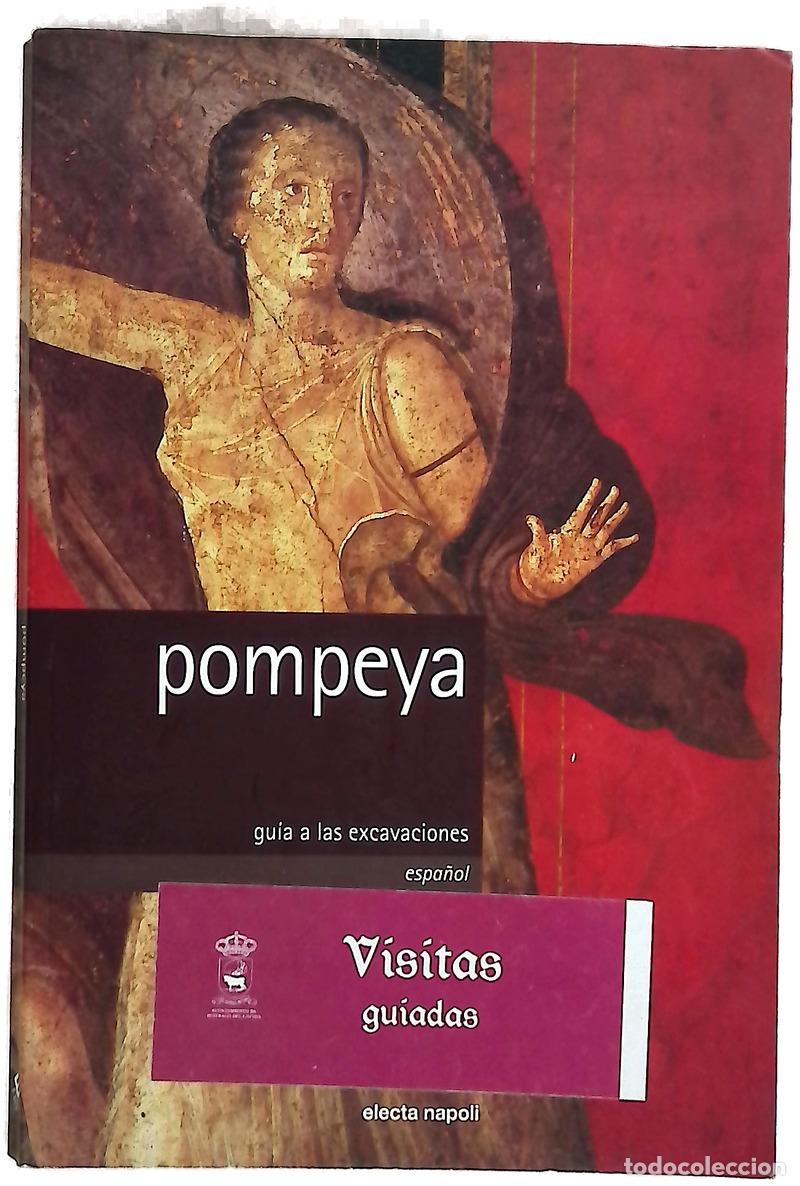 Libros: Pompeya - Pier Giovanni Guzzo, Antonio D'Ambrosio