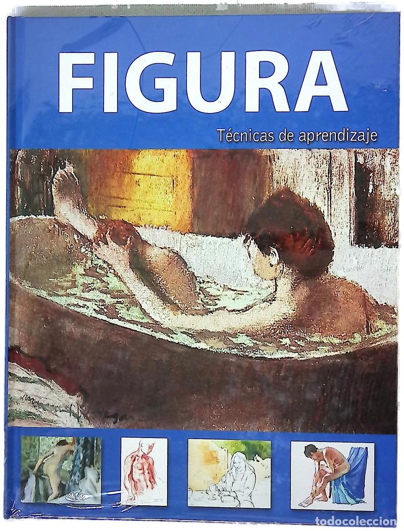 Livres: Figura : t&eacute;cnicas de aprendizaje