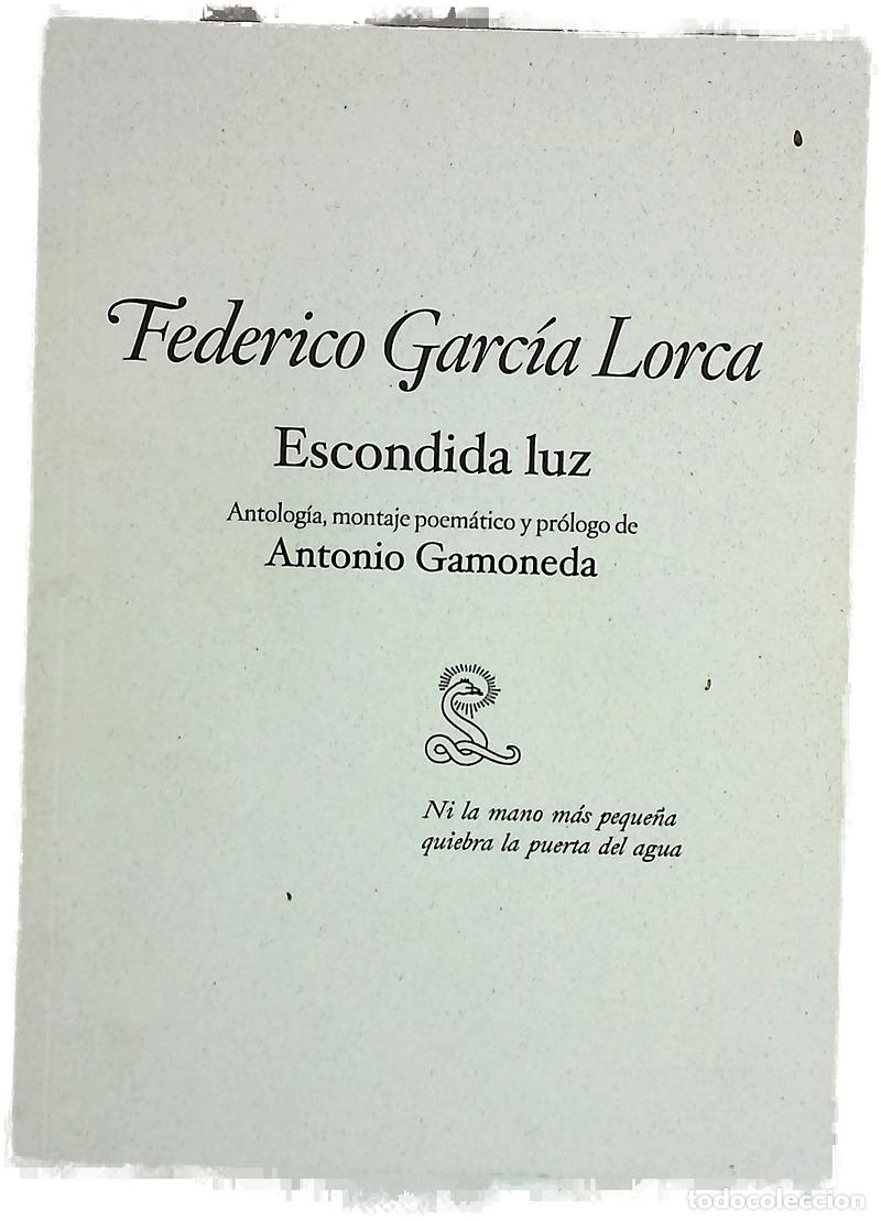 Libros: Escondida luz - Federico Garc&iacute;a Lorca - Foto 1