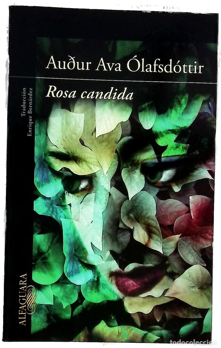 Libros: Rosa candida - Au&eth;ur A. &Oacute;lafsd&oacute;ttir; Bern&aacute;rdez, Enrique