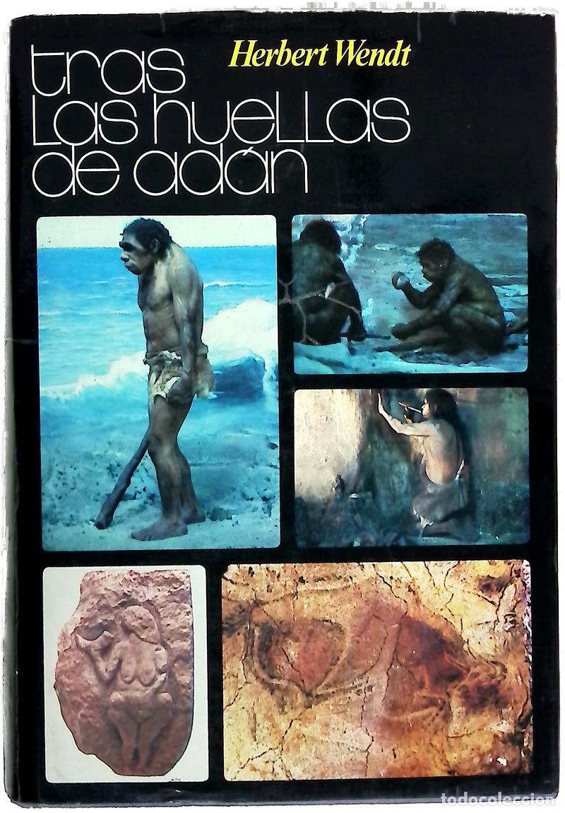 books: Tras las huellas de Ad&aacute;n la novela del origen del hombre