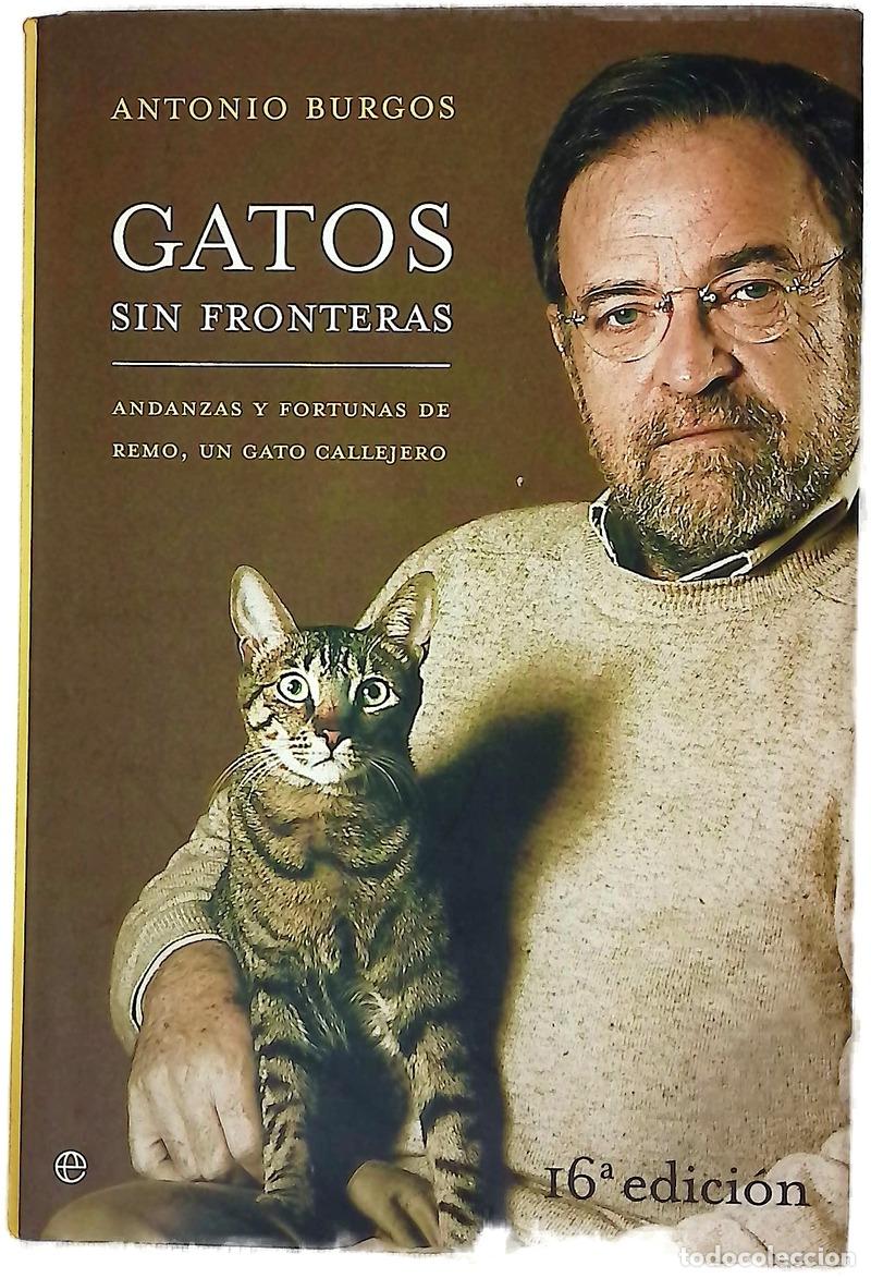 books: Gatos sin fronteras andanzas y fortunas de Remo, un gato callejero