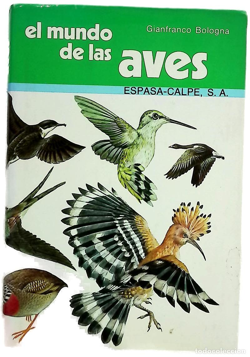 Libros: El Mundo De Las Aves/the World of Birds
