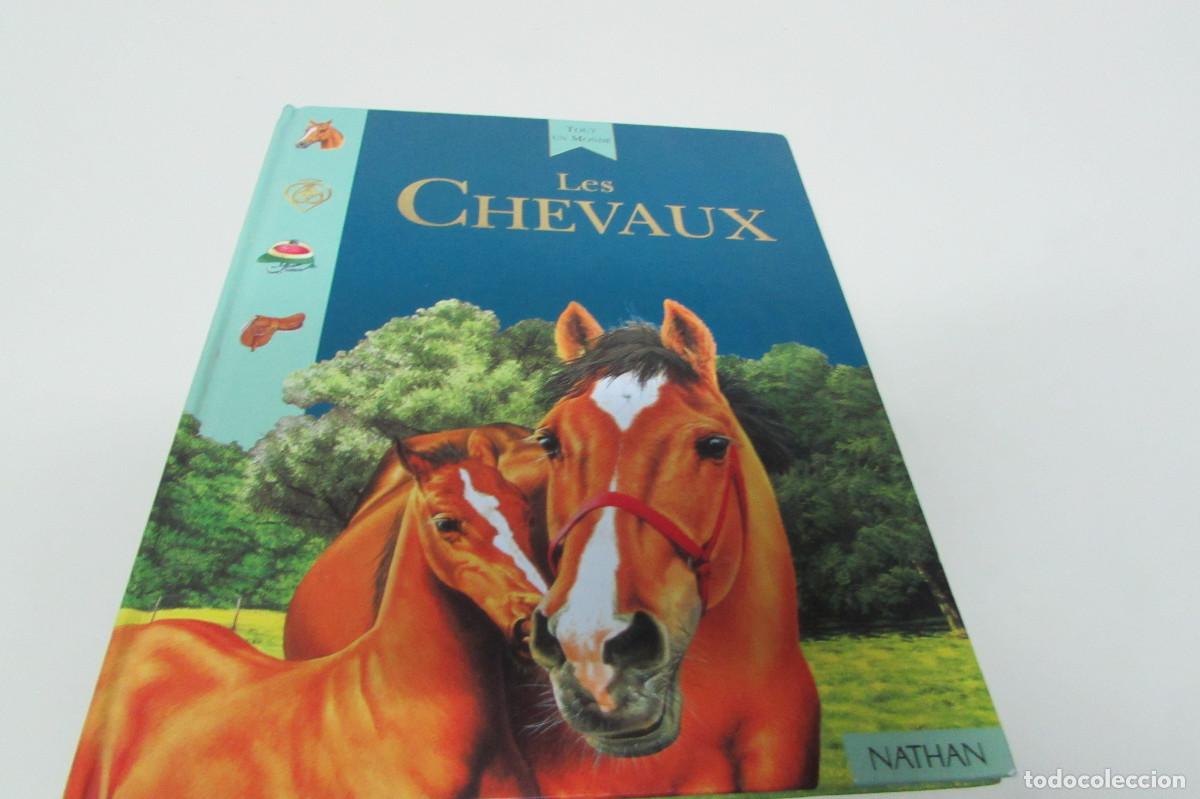 Libros: Nathan - Tout un Monde : Les Chevaux-LIBRO EN FRANCES DE CABALLOS