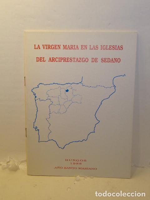 Libros: LA VIRGEN MARIA EN LAS IGLESIAS DEL ARCIPRESTAZGO DE SEDANO -
