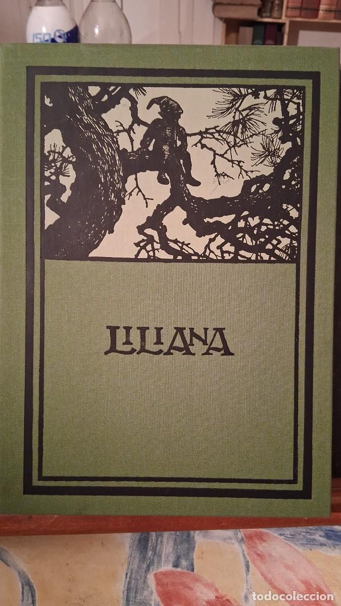 Libros: Apeles Mestres Liliana