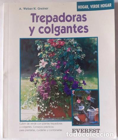 Libri di seconda mano: Trepadoras y colgantes- 9788424124786