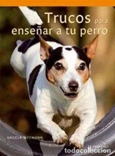 B&uuml;cher: Trucos para ense&ntilde;ar a tu perro- 9788425518911