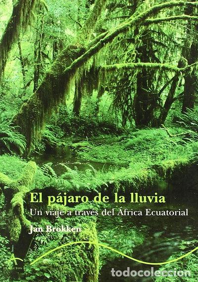 Livres: El p&aacute;jaro de la lluvia- 9788484280866