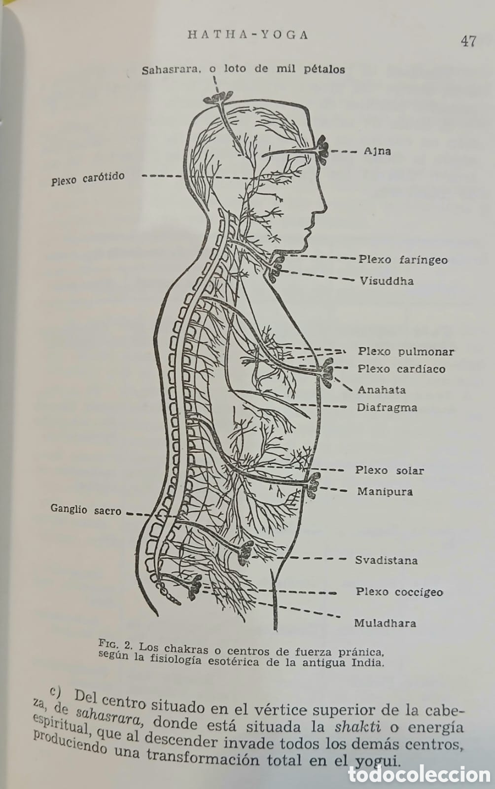 Libros: Hatha Yoga, Antonio Blay Fontcuberta - Foto 8