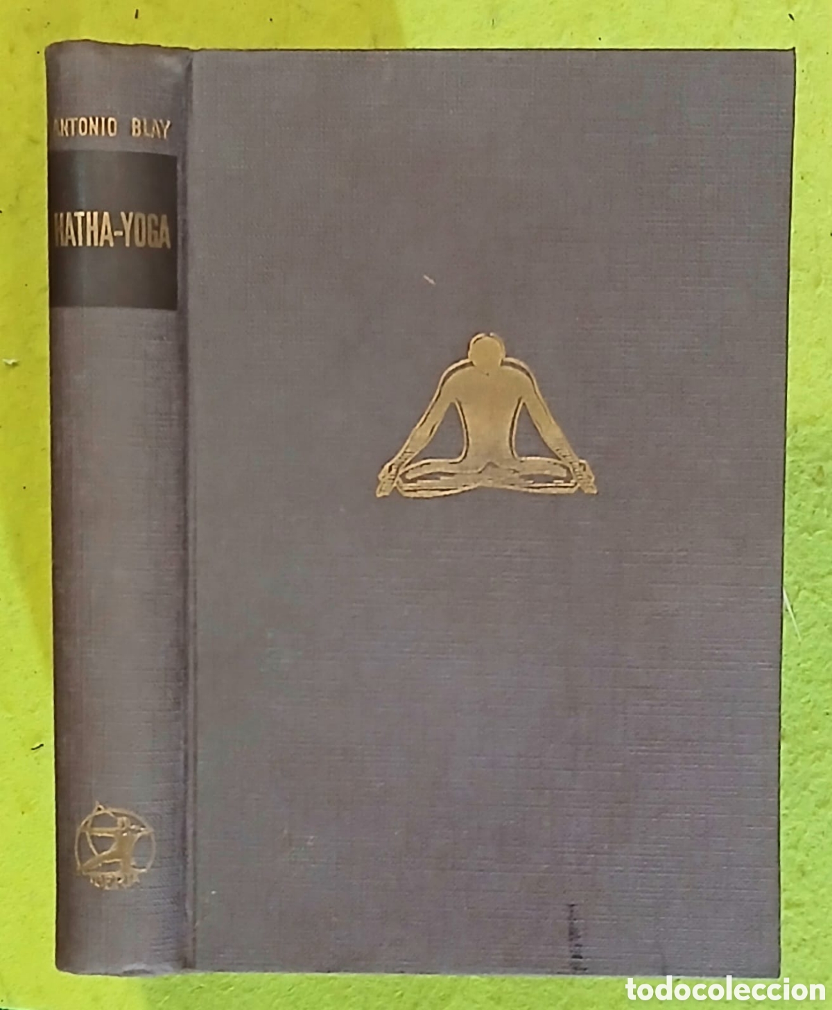 Libros: Hatha Yoga, Antonio Blay Fontcuberta