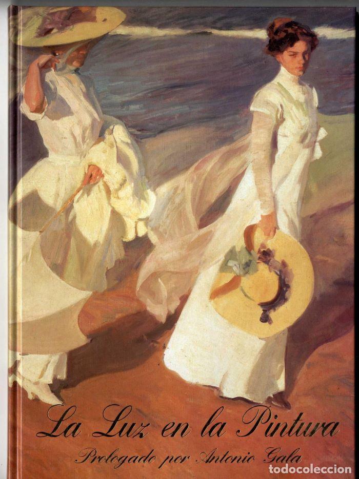 Libri di seconda mano: LA LUZ EN LA PINTURA - Antonio Gala; &Aacute;lvaro Mart&iacute;nez-Novillo; Juan-Ram&oacute;n Triad&oacute;