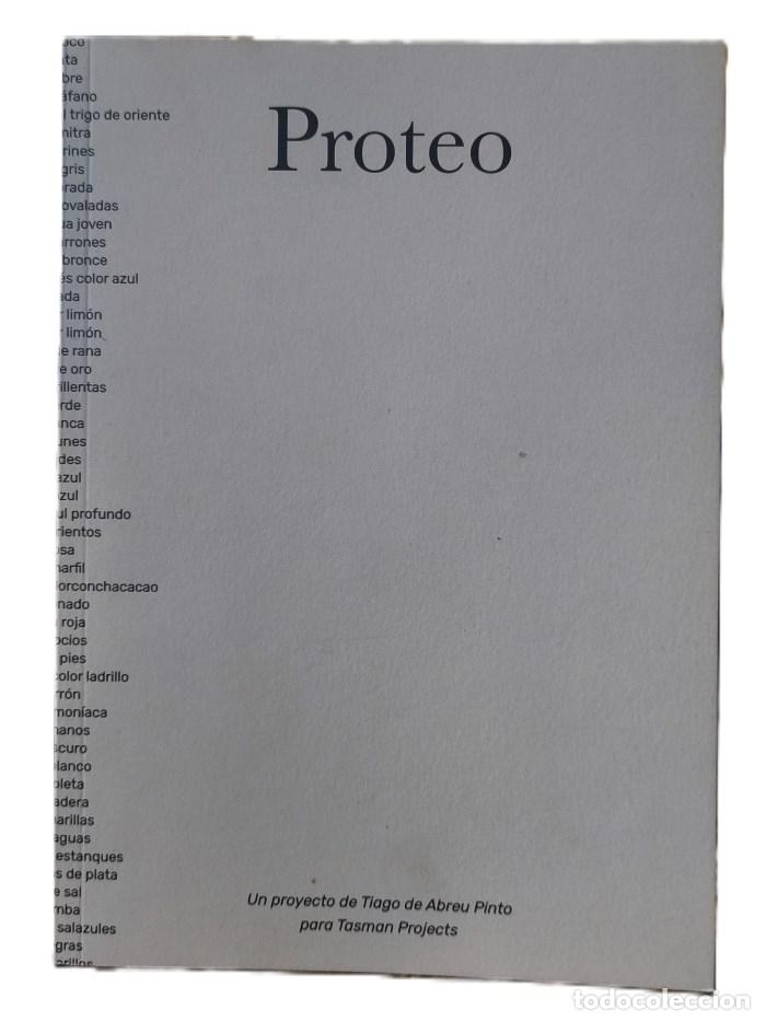 Libri di seconda mano: PROTEO. UN PROYECTO DE TIAGO DE ABREU PINTO PARA TASMAN PROJECTS - Tiago De Abreu Pinto (comisariado