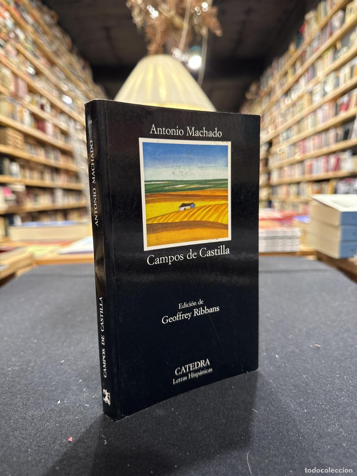 Libros: Campos de Castilla - Antonio Machado