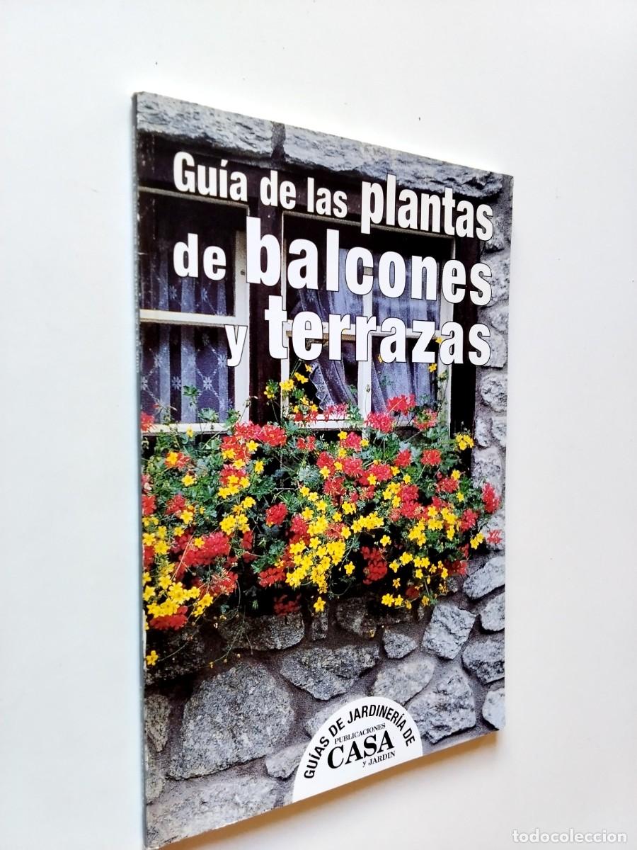 Gu&iacute;a de plantas de balcones y terrazas