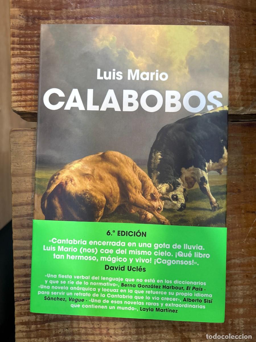 B&uuml;cher: Calabobos / Drizzle (Spanish Edition) Mario, Luis