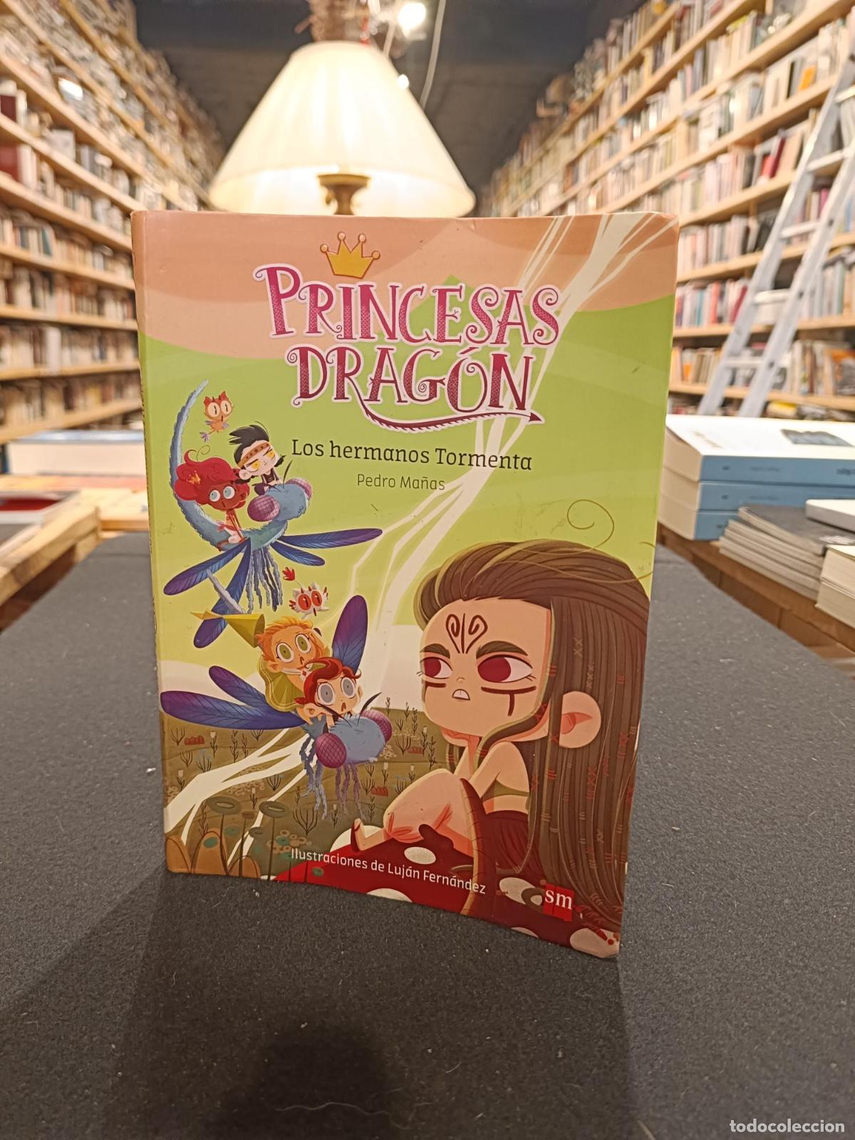 Libros: Princesas Drag&oacute;n 5: Los hermanos Tormenta - Pedro Ma&ntilde;as Romero