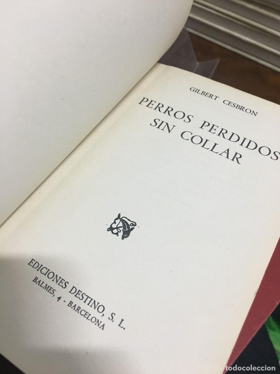 Libros: Perros perdidos sin collar Gilbert Cesbron - Foto 2