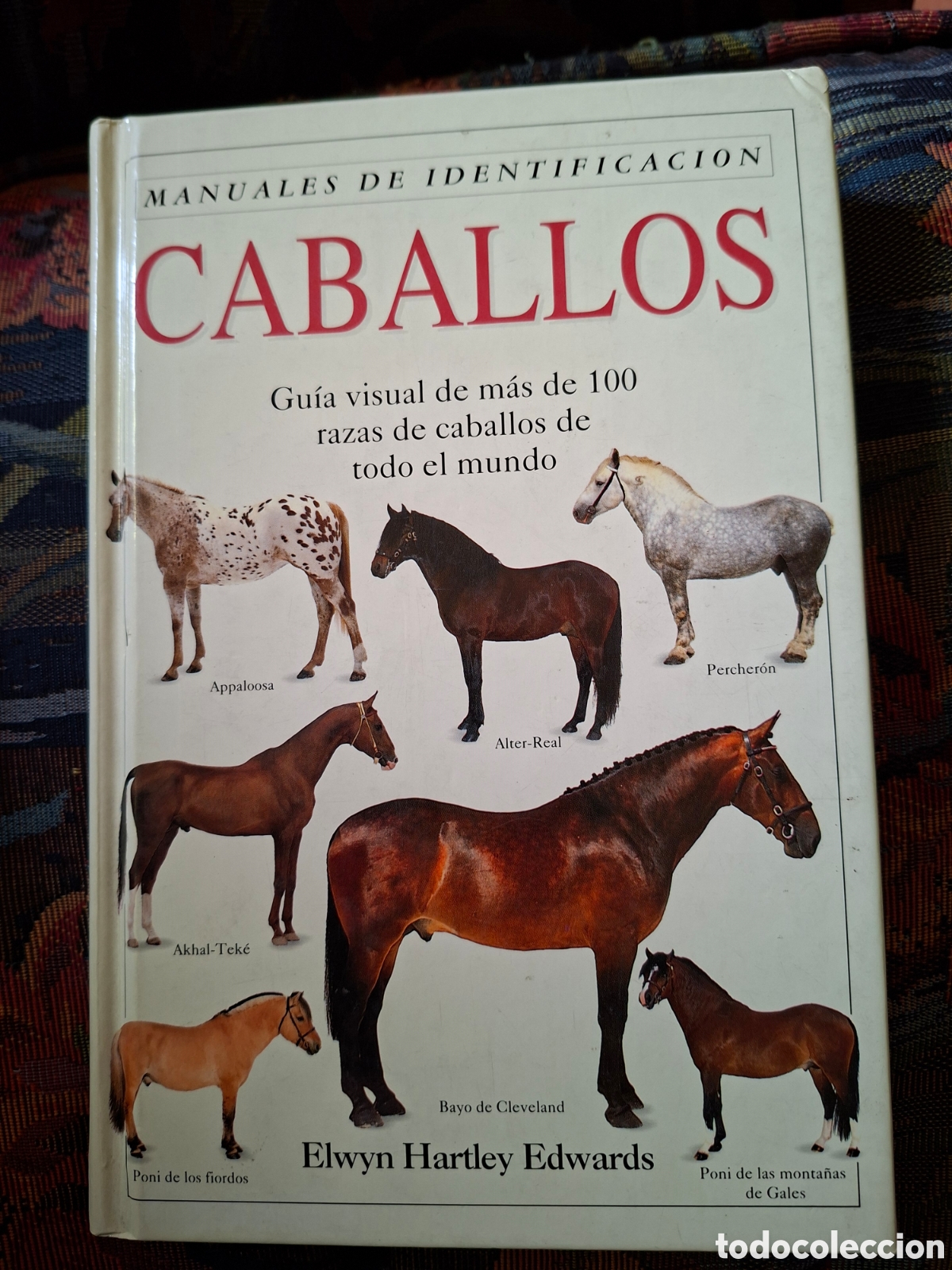 Libros: CABALLOS, MANUALES DE IDENTIFICACION