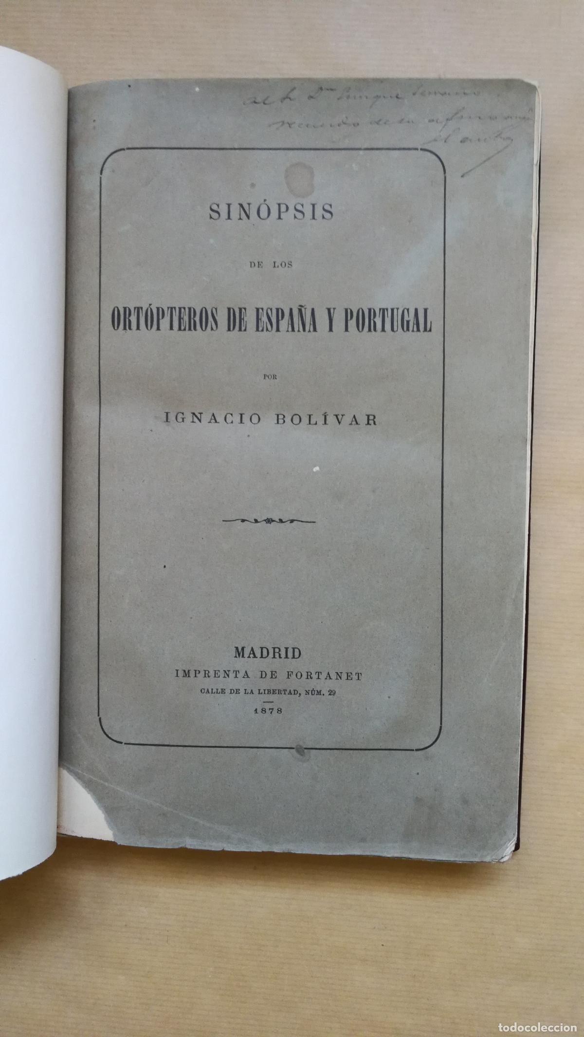 Livres: Sin&oacute;psis de los Ort&oacute;pteros de Espa&ntilde;a y Portugal - Ignacio Bol&iacute;var y Urrutia.