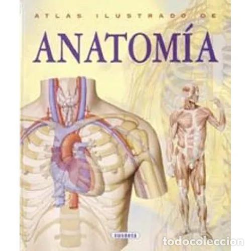 Libri di seconda mano: ATLAS ILUSTRADO DE ANATOM&Iacute;A - BIGUTTI, ADRIANA