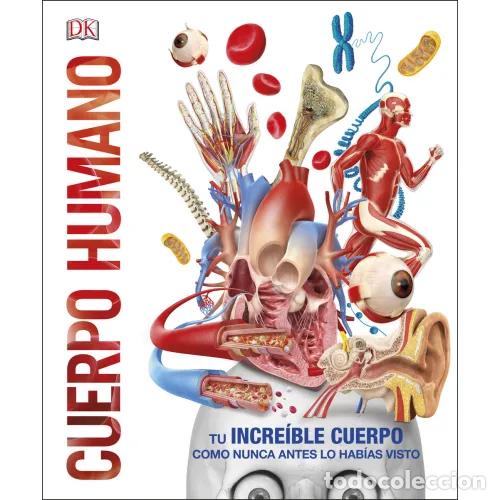 Livros em segunda m&atilde;o: CUERPO HUMANO - AAVV