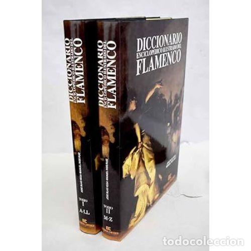 Libros: DICCIONARIO ENCICLOP&Eacute;DICO ILUSTRADO DEL FLAMENCO - AAVV