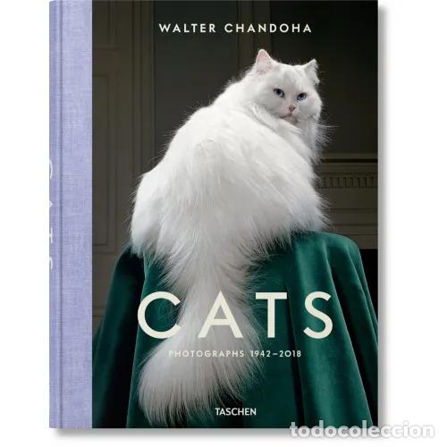 Libros: WALTER CHANDOHA CATS PHOTOGRAPHS 1942-2018 (IN) - MICHALS, SUSAN