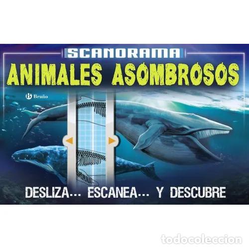 books: SCANORAMA. ANIMALES ASOMBROSOS - CLAYBOURNE, ANNA