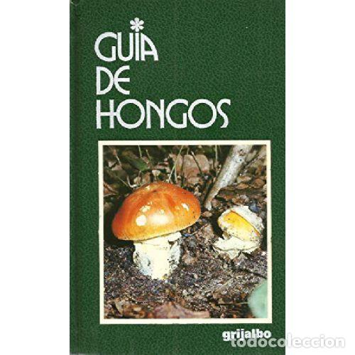 Libros: GU&Iacute;A DE HONGOS - PACIONI, GIOVANNI