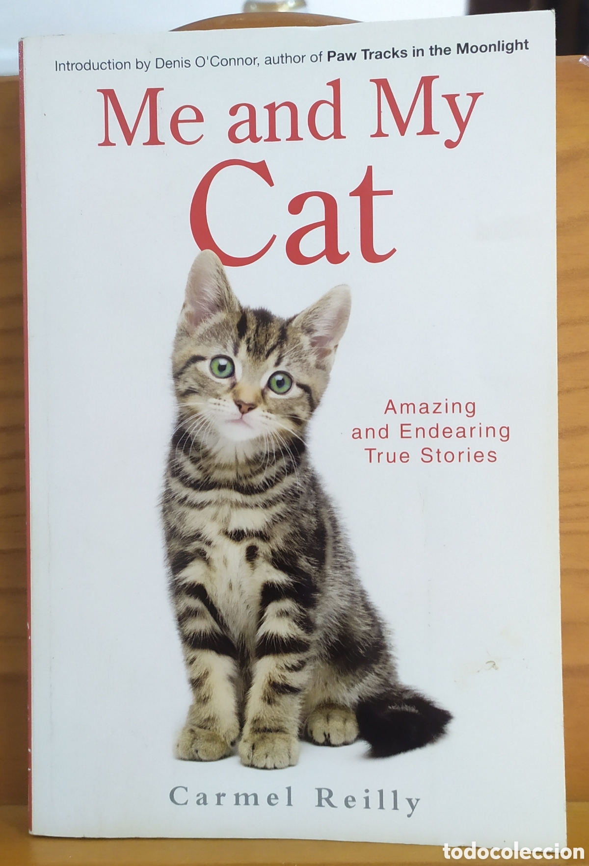 Libros: Me and my cat (English Edition) - Carmel Reilly 2012