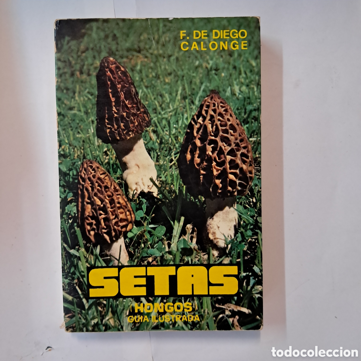 Libros: F.DE Diego Calonge,Setas,hongos, gu&iacute;a ilustrada