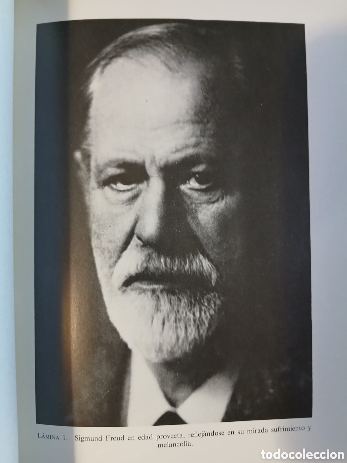 Libros: Obras completas Sigmund Freud - Foto 2