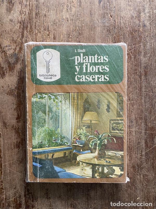 Libri di seconda mano: Plantas y flores caseras - Lindt I.