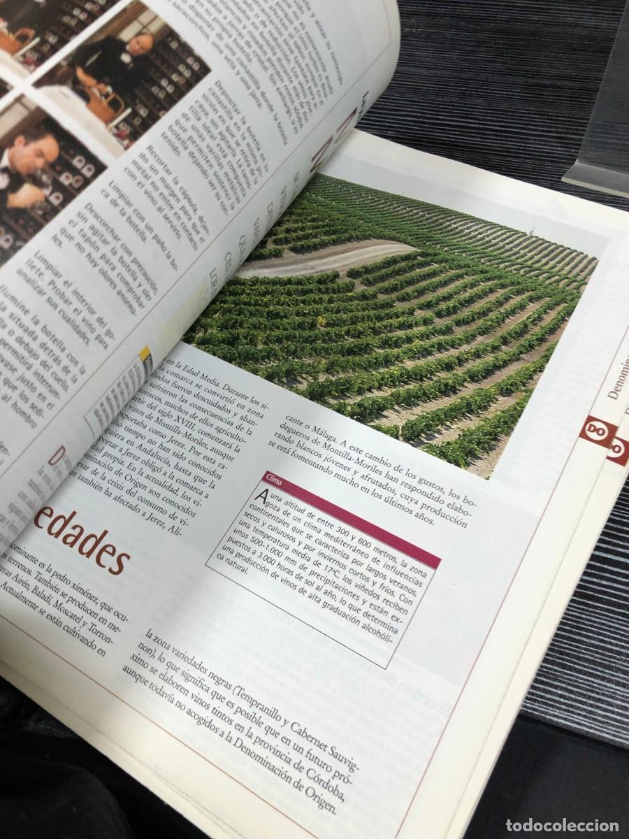 Libros: El gran libro de los vinos de Espa&ntilde;a ABC / Comunidad de Madrid - Foto 2
