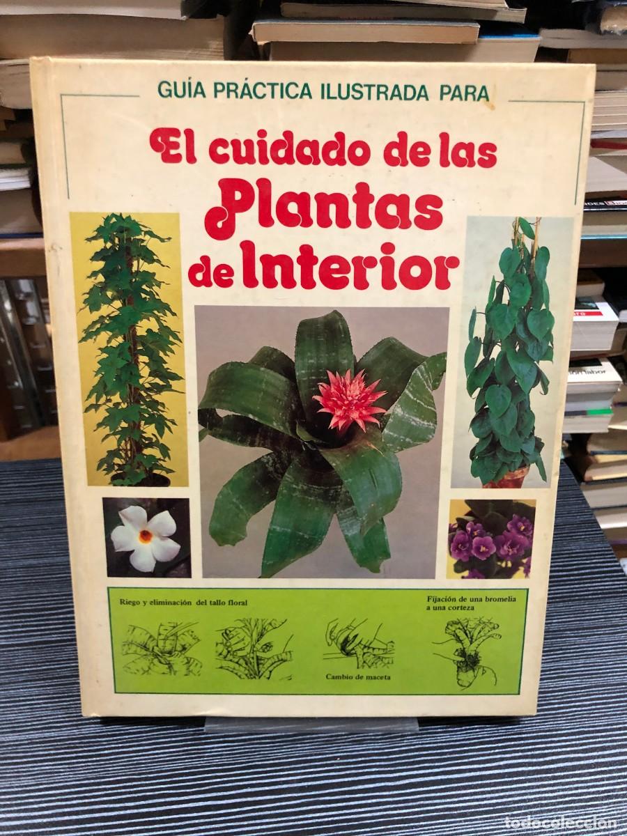 Libros: Gu&iacute;a pr&aacute;ctica ilustrada para el cuidado de las plantas de interior - Foto 1