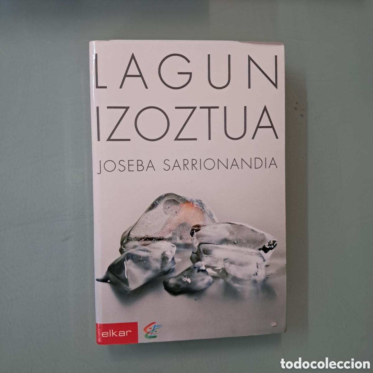 Libros: Joseba Sarrionaindia, Laguna izoztua, Elkar,