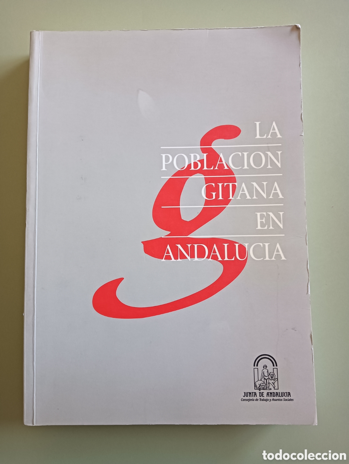 Libros: La poblaci&oacute;n gitana en Andaluc&iacute;a