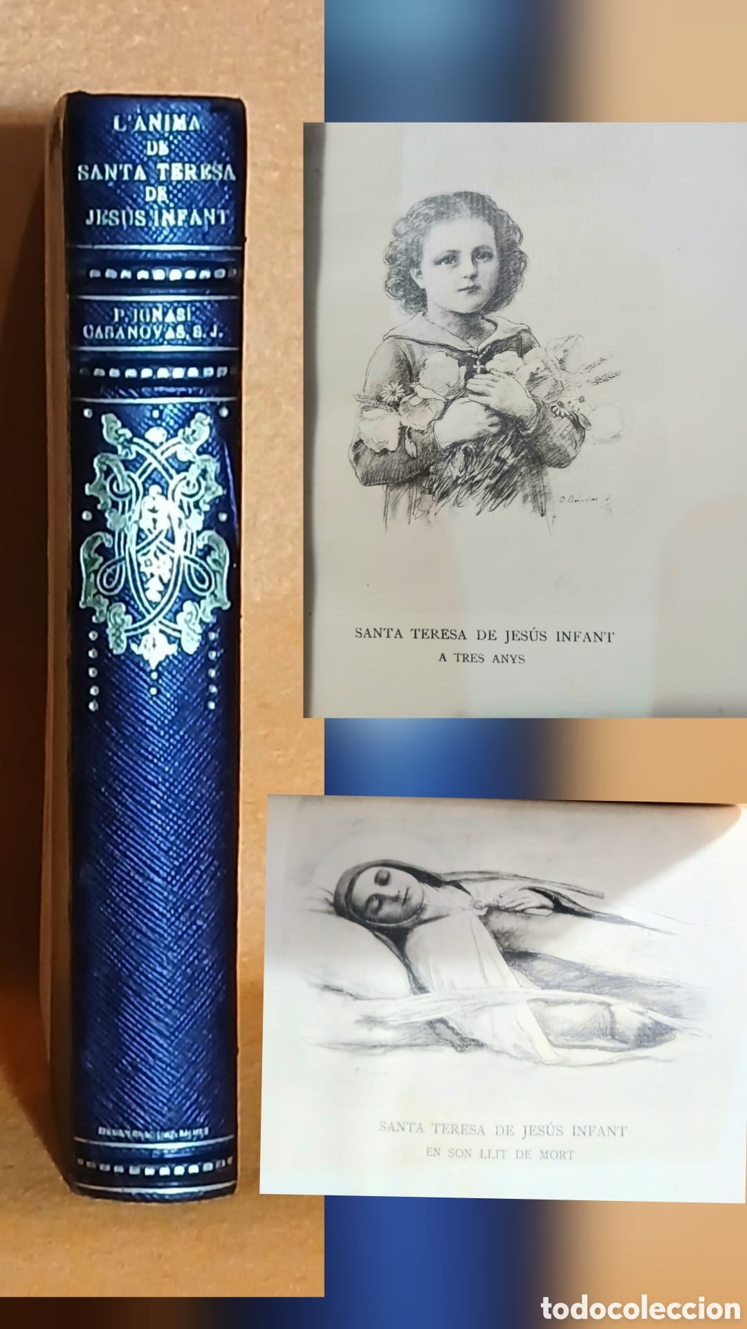 Libros: L'&Agrave;nima de Santa Teresa de Jesus Infant