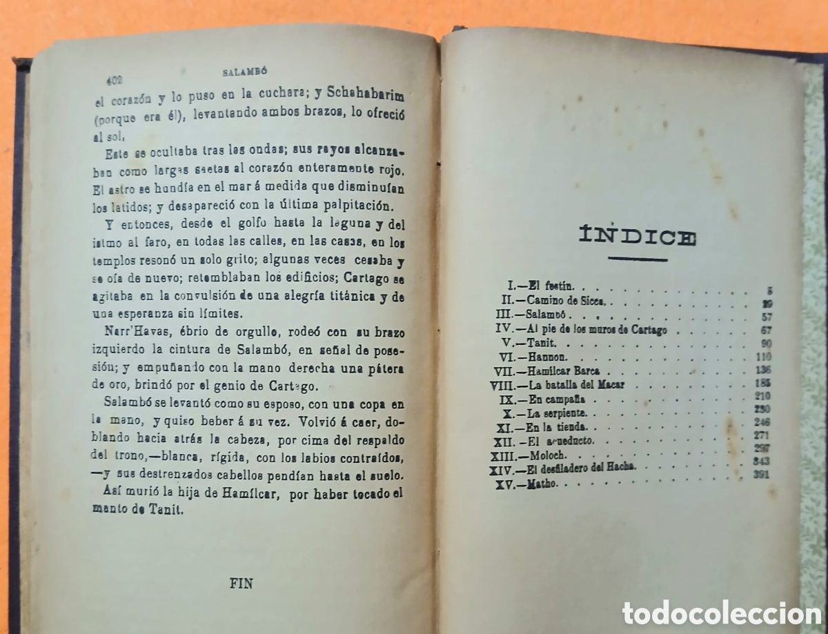 Libros: Salamb&oacute;, Gustavo Flaubert - Foto 4